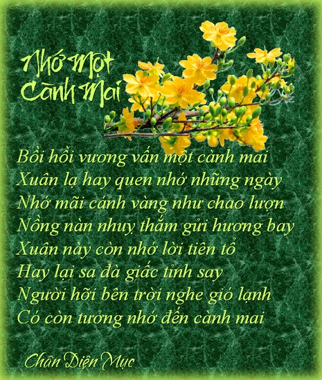 nhomotcanhmai