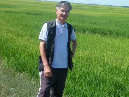 đồng lúa